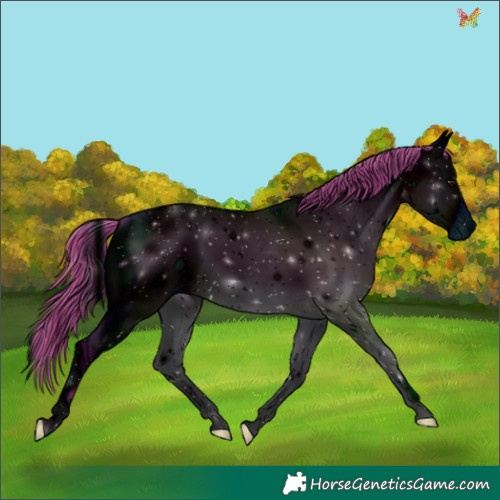 Horse Color:ERROR: UNKNOWN ANOMALY