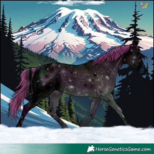 Horse Color:ERROR: UNKNOWN ANOMALY