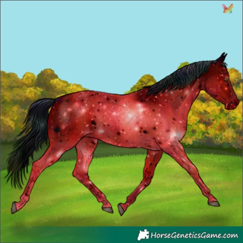 Horse Color:ERROR: UNKNOWN ANOMALY