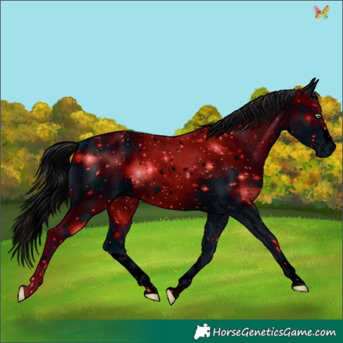 Horse Color:ERROR: UNKNOWN ANOMALY