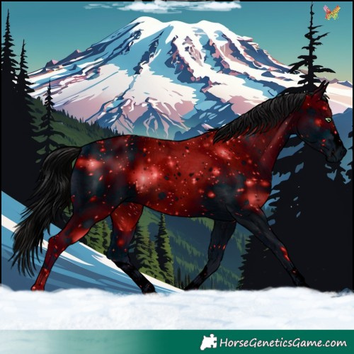 Horse Color:ERROR: UNKNOWN ANOMALY