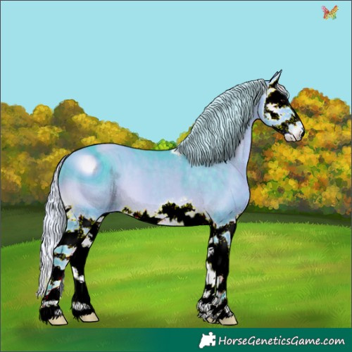 Horse Color:ERROR: UNKNOWN ANOMALY