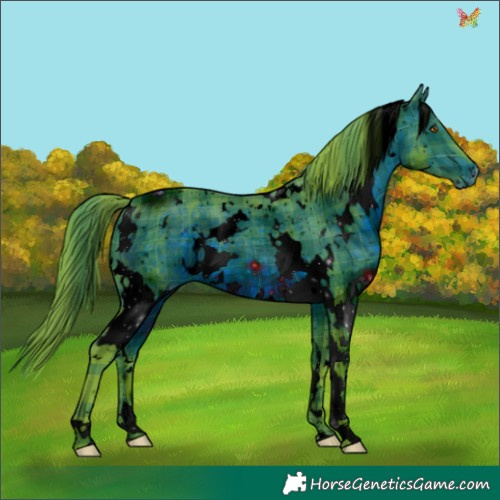 Horse Color:ERROR: UNKNOWN ANOMALY