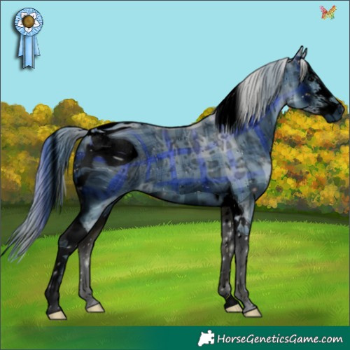 Horse Color:ERROR: UNKNOWN ANOMALY