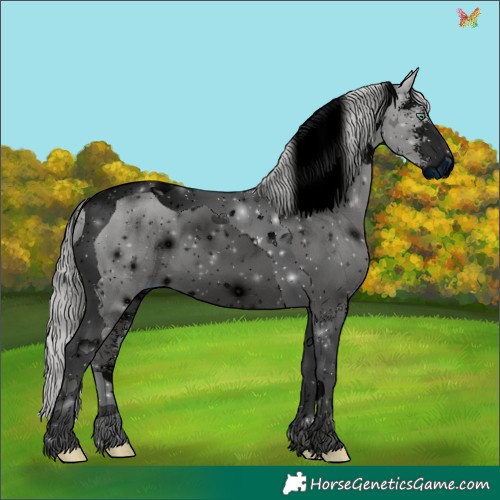 Horse Color:ERROR: UNKNOWN ANOMALY
