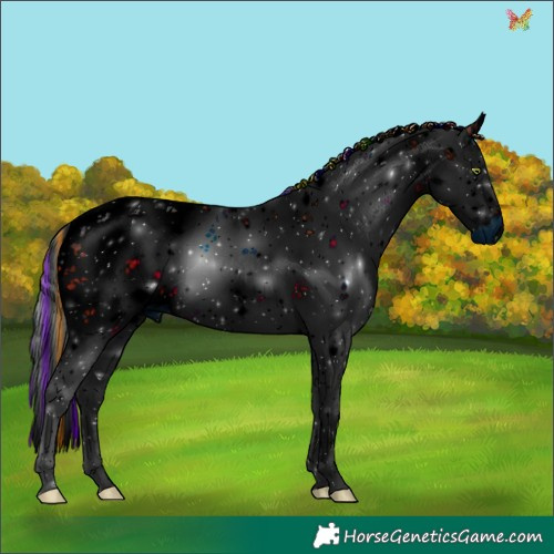 Horse Color:ERROR: UNKNOWN ANOMALY