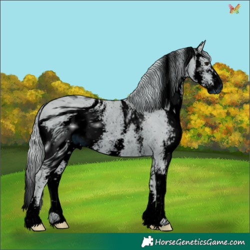 Horse Color:ERROR: UNKNOWN ANOMALY