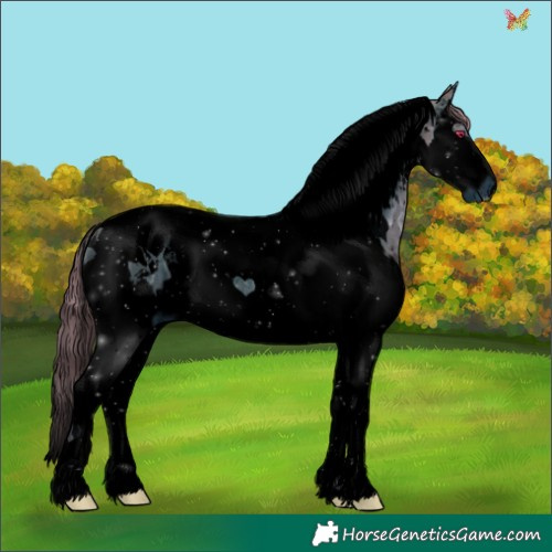 Horse Color:ERROR: UNKNOWN ANOMALY