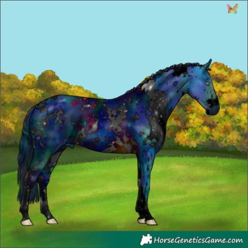 Horse Color:ERROR: UNKNOWN ANOMALY