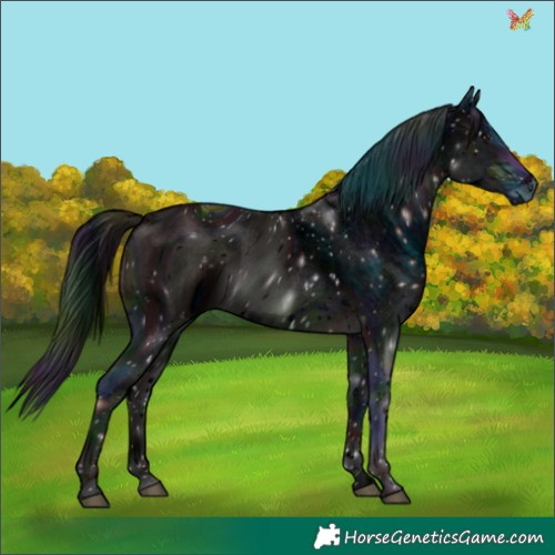 Horse Color:ERROR: UNKNOWN ANOMALY
