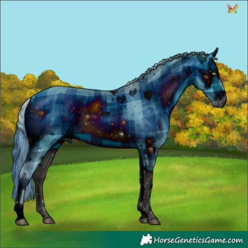 Horse Color:ERROR: UNKNOWN ANOMALY