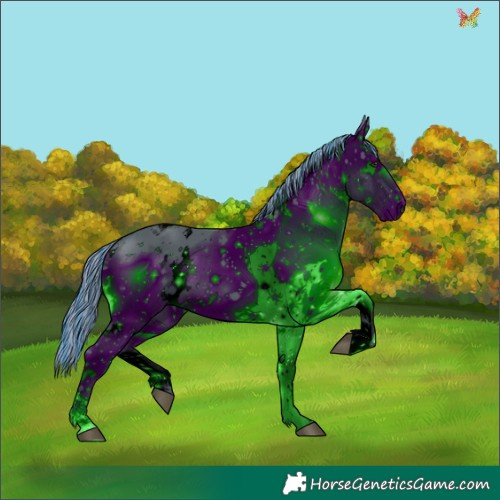 Horse Color:ERROR: UNKNOWN ANOMALY