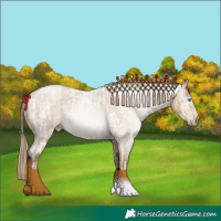 Horse Color:Buckskin Roan Pearl  and Gray Buckskin Roan Pearl 