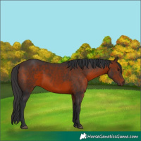 Horse Color:Brown 