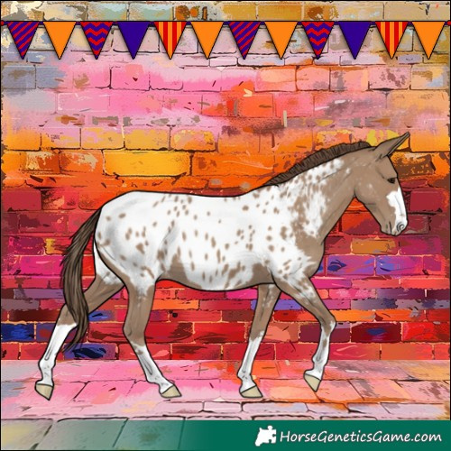 Horse Color:Classic Champagne Near Leopard 