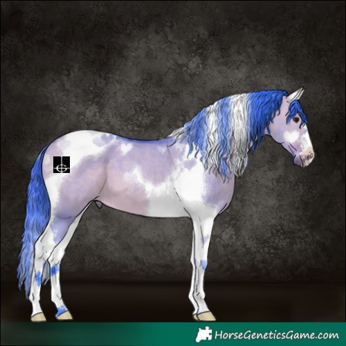 Horse Color:Watercolor Bay Dun Tobiano 