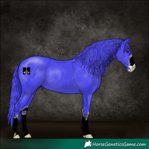 Horse Color:Watercolor Black 