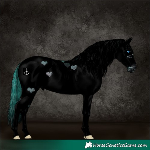 Horse Color:Void Watercolor Brown Dun Sabino Splash Frame Rabicano 