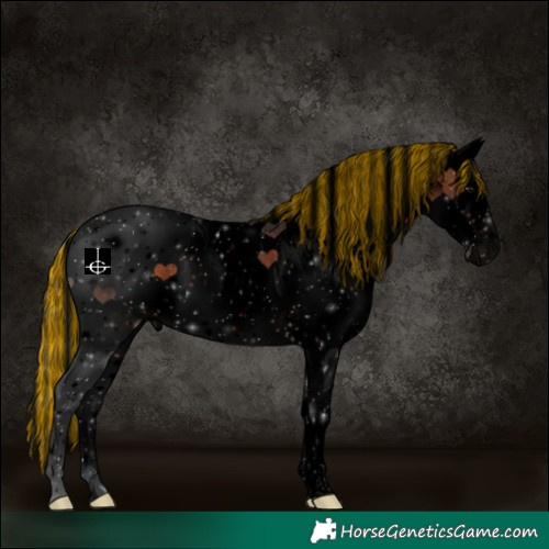Horse Color:Void Painted Brown Sabino Rabicano 
