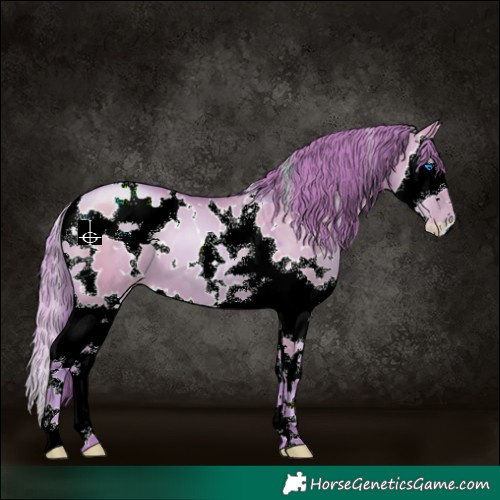 Horse Color:Watercolor White Spotted Grullo Pearl Splash