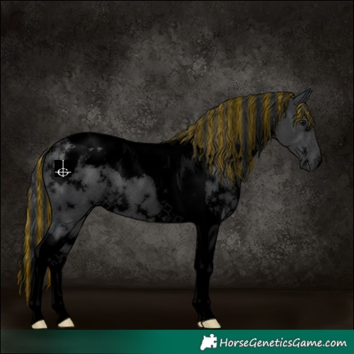 Horse Color:Void Painted White Spotted Black Tobiano