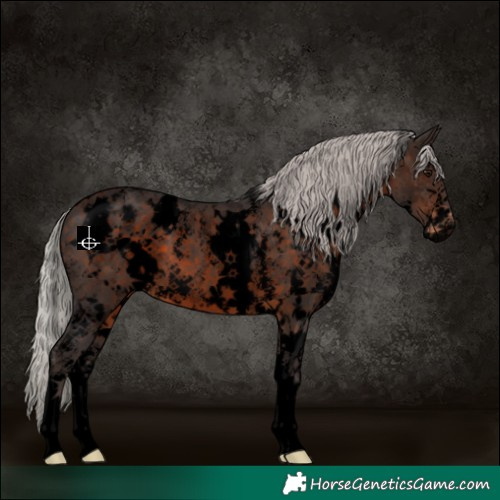 Horse Color:Void White Spotted Silver Brown Sabino Varnish 