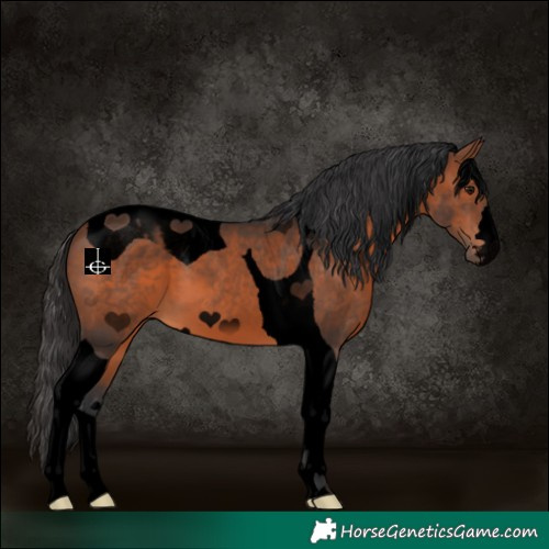 Horse Color:Void Brown Tobiano 