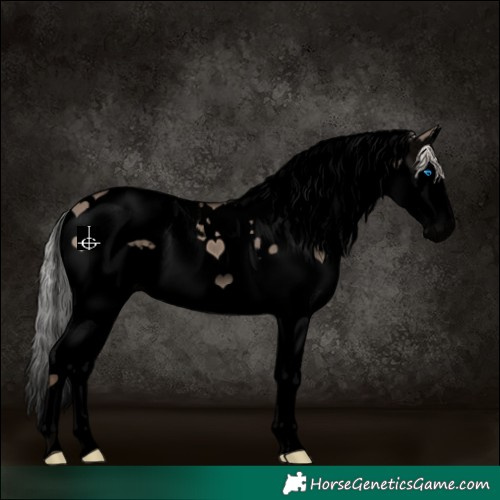 Horse Color:Void Silver Grullo Splash Tobiano 