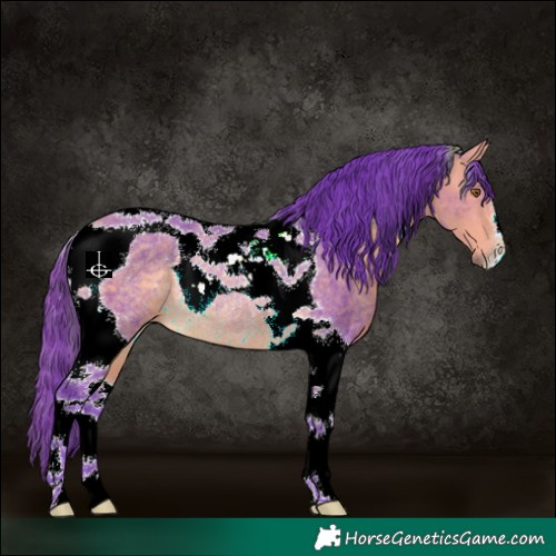Horse Color:Watercolor Buckskin Tobiano Rabicano 