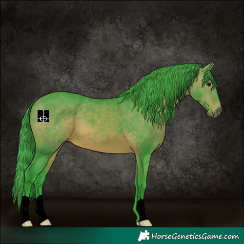 Horse Color:Watercolor Bay 