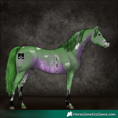 Horse Color:Gray Watercolor Brown Sabino 