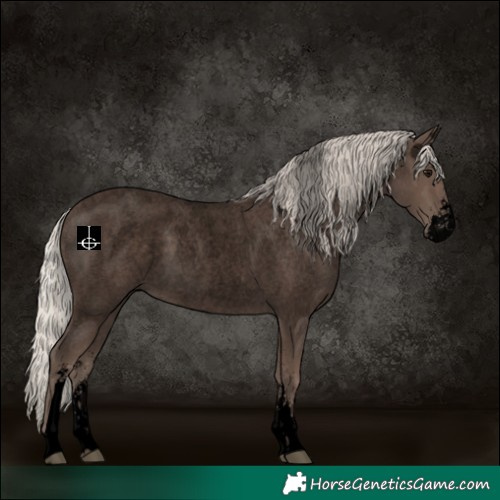 Horse Color:Void Silver Blue Roan Sabino 