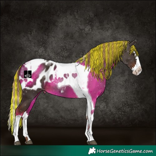 Horse Color:Painted Liver Chestnut Splash Tobiano Appaloosa 