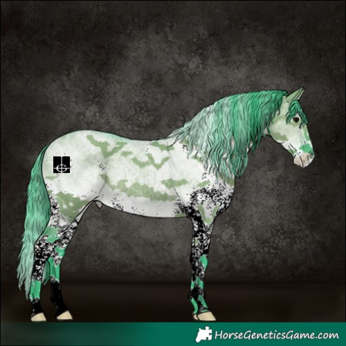 Horse Color:Watercolor White Spotted Grullo Rabicano 