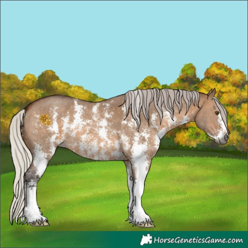 Horse Color:Gray Silver Bay Dun Sabino 