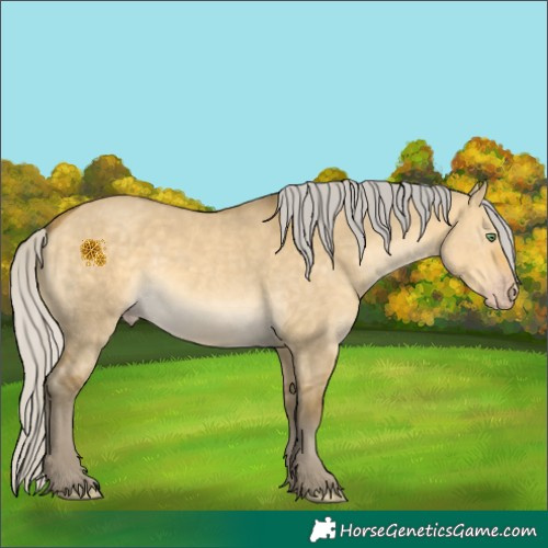 Horse Color:Silver Sable Cream Champagne Dun 