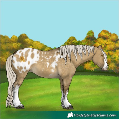 Horse Color:White Spotted Silver Buckskin Dun Blanket 