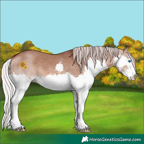 Horse Color:Chocolate Silver Brown Dun Splash 