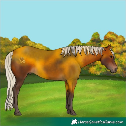 Horse Color:Silver Brown 
