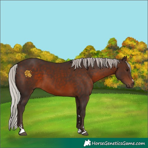 Horse Color:Silver Brown 