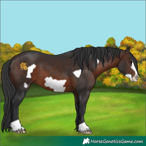 Horse Color:Brown Frame 
