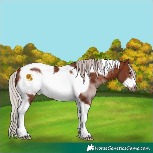 Horse Color:White Spotted Chocolate Silver Brown Tobiano Frame 