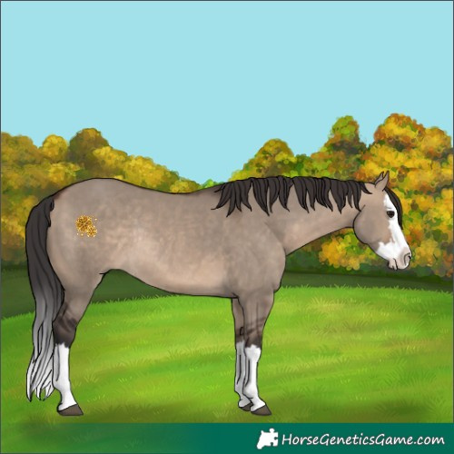 Horse Color:White Spotted Brown Dun Splash Rabicano 