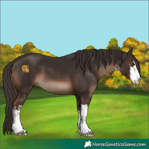 Horse Color:White Spotted Liver Chestnut 