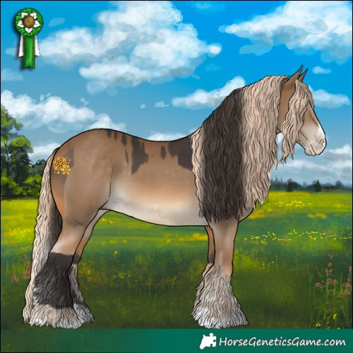Horse Color:Buckskin Splash and Chocolate Palomino Splash