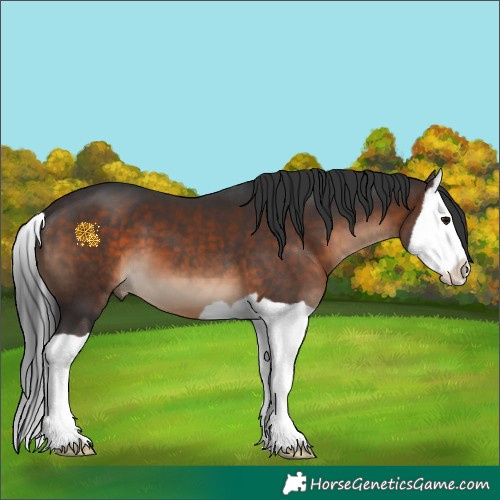Horse Color:Brown Splash 