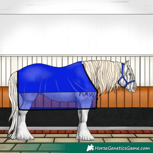 Horse Color:Palomino Sabino Splash 