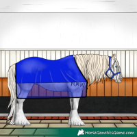 Horse Color:Palomino Sabino Splash 