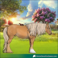 Horse Color:Palomino