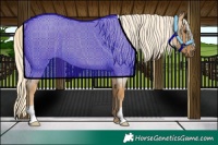 Horse Color:Palomino Roan 